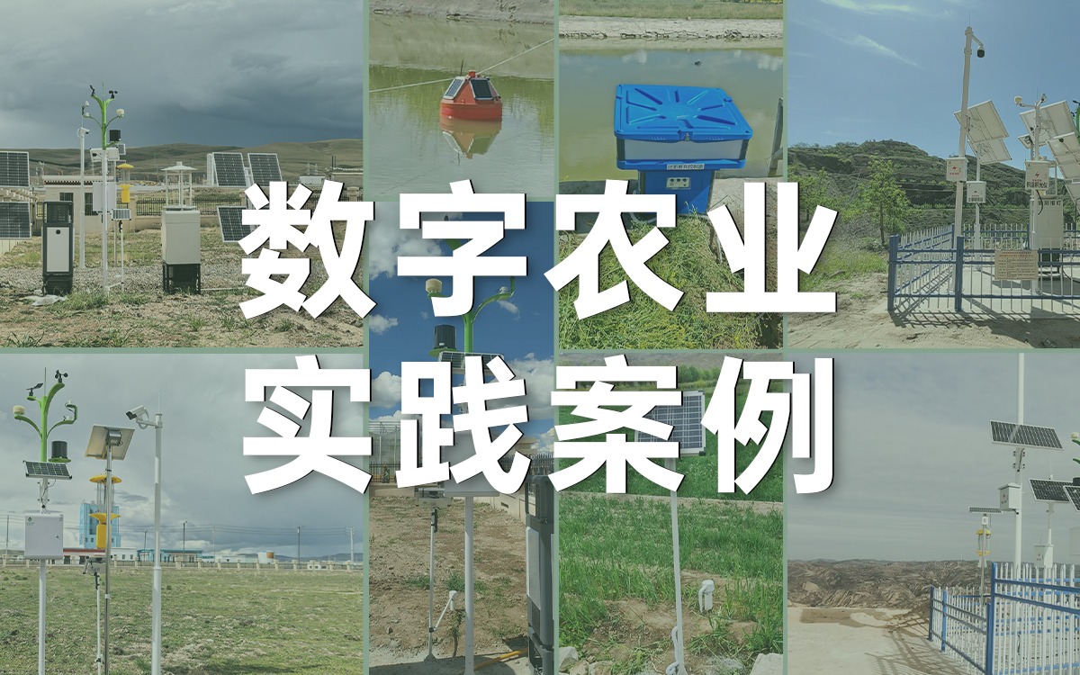 案例深一度 | 赛通科技如何用数字科技赋能西部农业